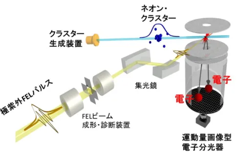 図 2. 本研究で用いた手法。実験では、電子の画像データからエネルギー分布を得た。実験 で得られた電子スペクトルのピークの帰属と理論計算から、多重励起緩和機構を検証した。 【用語解説】  ＊1 自由電子レーザー（FEL：Free-Electron Laser）  自由電子レーザー（Free-Electron Laser)は､物質中で発光する通常のレーザーと異なり、 物質からはぎ取られた自由な電子を加速器の中で光速近くに加速し､周期的な磁場の中で 運動させることにより、レーザー発振を行う。極紫外領域から X 
