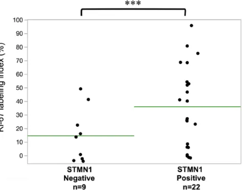 Figure 3. Relationship between Ki-67 labeling index and STMN1 expression in 31 colitic mucosa samples obtained from eight patients with ulcerative colitis
