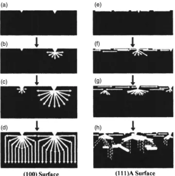 FIG. 4. Possible anodic etching steps of GaP 共 100 兲 and 共 111 兲 A surfaces formed in HF : H 2 O 2 : C 2 H 5 OH = 1 : 1 : 2 electrolyte.