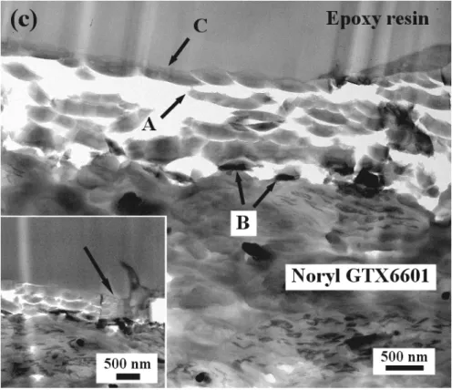 Figure 6.  TEM micrographs of OsO4-stained ultrathin cross-section of    polymer surface subjected to Ar/CH 4 -cleaned surface 