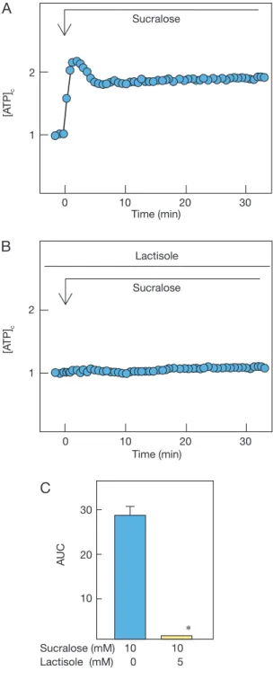 Fig. 1  Effect of sucralose on [ATP] c