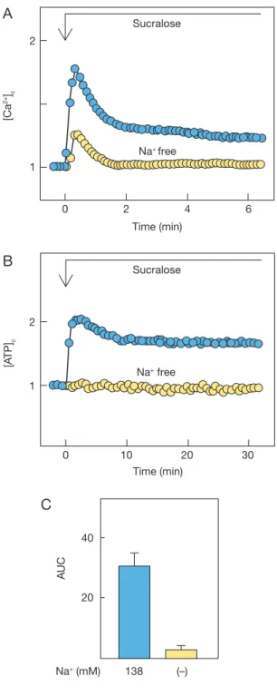 Fig. 5  Effect of removal of extracellular Na +  on sucralose- sucralose-induced changes in [Ca 2+ ] c  and [ATP] c