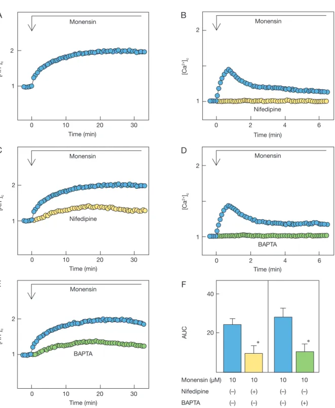 Fig. 7  Effect of monensin on [Ca 2+ ] c  and [ATP] c