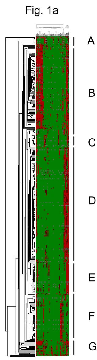 Fig. 1a  Ikota et al.  A  B  C  D  E  F a 