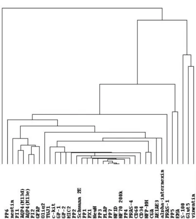 Fig. 1b  Ikota et al. 