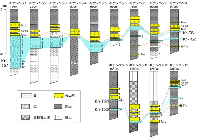 図 5  釧路市キナシベツ湿原における掘削地点の層序と試料採取層準．掘削地点の位置は，地点 番号（図 2 参照）および海岸線からの距離で示す．柱状図右脇の数字は試料番号． 