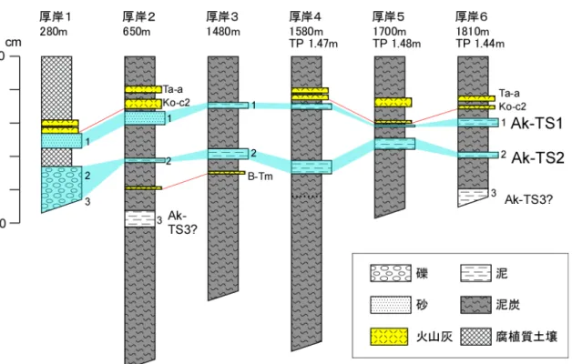 図 11  厚岸町白浜における掘削地点の層序と試料採取層準．掘削地点の位置は，地点番号（図 4 参照）および海岸線からの距離で示す．柱状図右脇の数字は試料番号． 