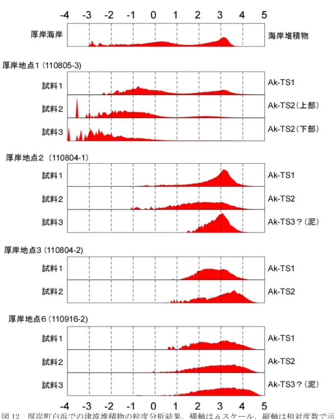 図 12  厚岸町白浜での津波堆積物の粒度分析結果．横軸はφスケール，縦軸は相対度数で示す． 