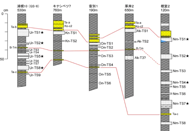 図 13  浦幌，釧路（キナシベツおよび音別湿原），厚岸，根室における津波堆積物の層序．浦幌 および根室の津波砂層についても，本年度の成果と同様にそれぞれ Ur-TS1～Ur-TS9，Nm-TS1～ Nm-TS8 と表記する．（※浦幌の堆積物については，平成 21 年度成果報告書とは TS 番号の付け方 が異なる．）★は比較的広く分布する津波堆積物． 