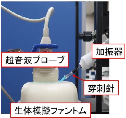 Fig. 6-1-3 アルギン酸ファントムの長軸方向穿刺実験 