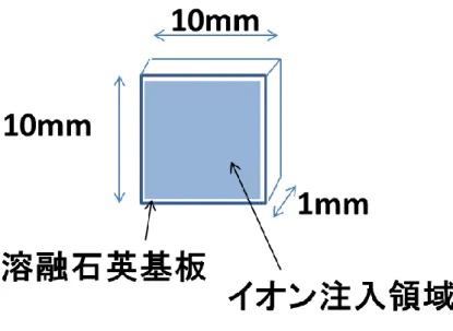 図 2-1  試料概略図 