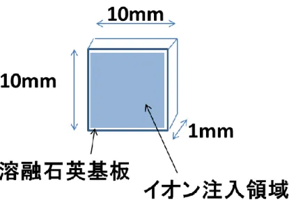 図 2-1  試料概略図 