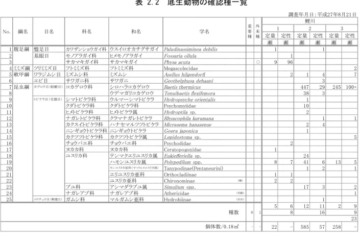 表 2.2  底生動物の確認種一覧  調査年月日：平成27年8月21日 定量 定性 定量 定性 定量 定性 瀬 瀬 瀬 瀬 瀬 瀬 1 腹足綱 盤足目 カワザンショウガイ科 ウスイロオカチグサガイ Paludinassiminea debilis 1 1 2 基眼目 モノアラガイ科 ヒメモノアラガイ Fossaria ollula 1 3 サカマキガイ科 サカマキガイ Physa acuta ○ 9 96 4 ミミズ綱 ツリミミズ目 フトミミズ科 フトミミズ科 Megascolecidae 2 5 軟甲綱 
