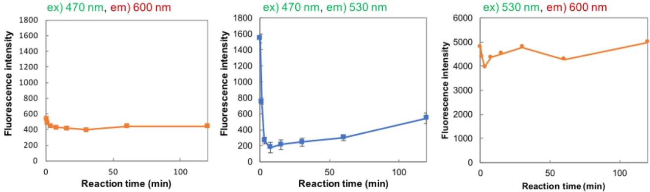 Figure 3-4.  各反応時間における反応液の蛍光強度変化    FRET クエンチングによる糖転移反応の検出    ENGase の糖転移活性を FAM に由来する蛍光のクエンチングを検出することで追跡でき ることが示された。そこで、より単純化した FRET クエンチングによる糖転移活性検出系を 構築するために FRET ペアーとして、新たに蛍光基として N -メチルアントラニル（Nma） 基と消光基として 2,4-ジニトロフェニル（Dnp）基の組み合わせを選択し、糖鎖基質に導入 することとした。こ