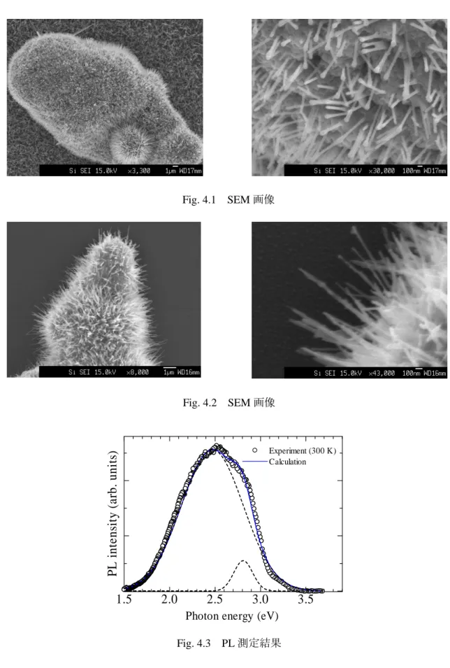Fig. 4.2 SEM 画像