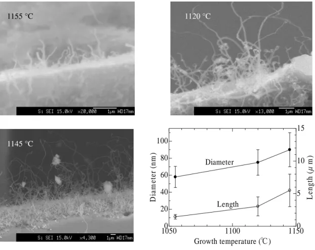 Fig. 4.16 SEM 画像 Fig. 4.17 径と長さの変化