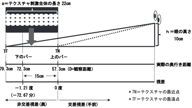 図 2.5  テクスチャ勾配刺激の投影像を得る配置の模式図  図 2.6  図 2.4 のテクスチャ刺激を図 2.5 の配置で観察したときのテクスチャ勾配刺激  2.3.  結果  図 2.7 に，実験参加者 3 名の両眼視差－ 72.67 分に理論的に対応するテクスチャ勾配刺激の主観的両眼 視差量を示した。図の縦軸は，テクスチャ勾配と主観的な見えの奥行きが等しい視差を示す。交差視差 をプラス，非交差視差をマイナスとした場合，実験参加者平均で視差－ 18 分，すなわち刺激呈示面より 物理的に 3cm 奥に引
