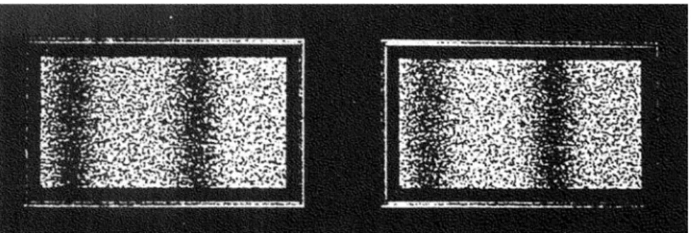 図 1.6  塩入（1990）が使用した陰影輝度分布を持つランダムドットステレオグラム（左：左眼用，   右：右眼用）の不整合刺激の例（陰影輝度分布と両眼視差の位相差が 90°の条件）  しかし，単眼性の奥行き情報と両眼性の奥行き情報との統合について示す過去の研究結果は，一定の 関係を示すものではなく，両者のいずれかが優位となる場合，両眼性の奥行き情報と単眼性の奥行き情 報の加算が行われる場合，両者が独立に処理される場合など，様々な場合があることを示している。金 子（ 2007 ）は，奥行き知覚の手がかりの
