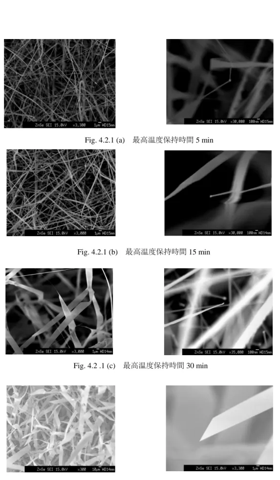 Fig. 4.2.1 (a)  最高温度保持時間 5 min 