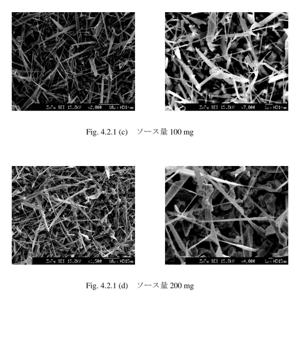 Fig. 4.2.1 (c)  ソース量 100 mg 