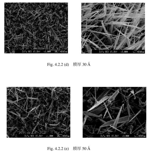 Fig. 4.2.2 (e)  膜厚 50 Å 