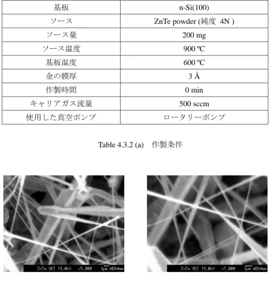 Fig. 4.3.2 (a)  SEM 画像 