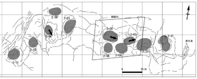 Fig. 8. Plan view sketch of the lower bedding surface of the footprint horizon at locality 2
