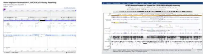 Fig. 1 GUI Genome Viewers (Left: NCBI Genome View,  Right: UCSC Genome Browser) 