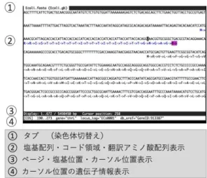 Fig. 3 Display of Coding Sequences 