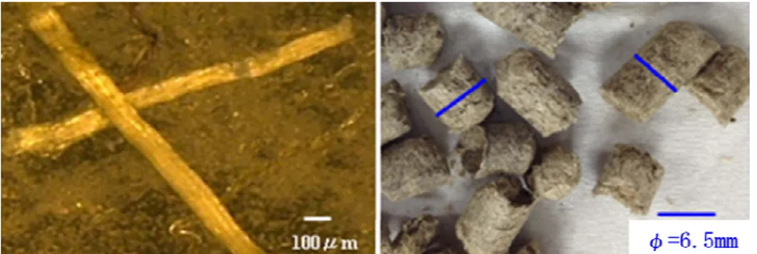 Fig. 3-1 Digital photograph of KF (left) and KF pellet  (right) 