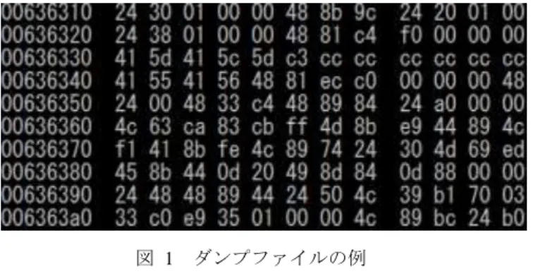 Figure 1  Example of dump file. 