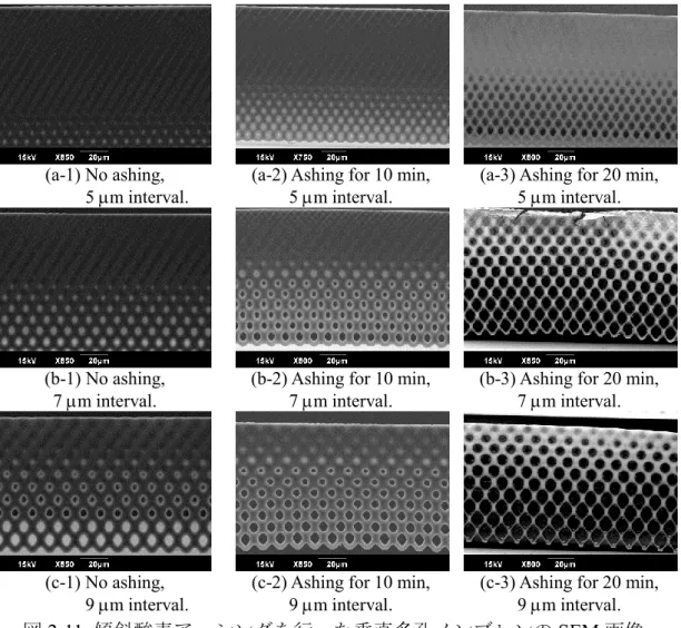 図 2-11  傾斜酸素アッシングを行った垂直多孔メンブレンの SEM 画像