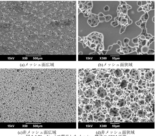 図 3-5 70 mJ/cm 2 で露光したメッシュ構造の SEM 画像 