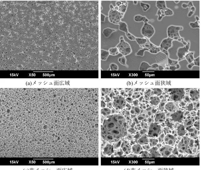 図 3-6 80 mJ/cm 2 で露光したメッシュ構造の SEM 画像 