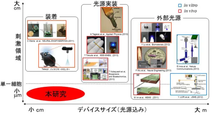 図 4-1 Optogenetics 分野の従来研究の分類