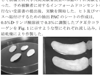 Fig. 1 PAC sheets. 