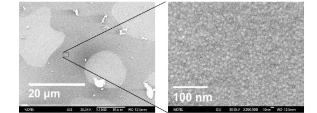 図 5.19（1-a）と図 5.19 （2-a）に示したように分子量 30,000-7,500 g/mol  の