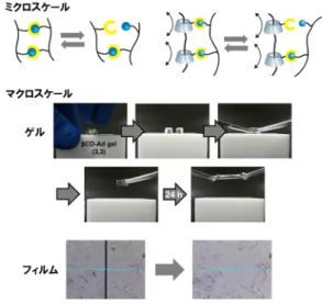 図 2  光応答性超分子アクチュエーター 図1.  自己修復超分子材料 