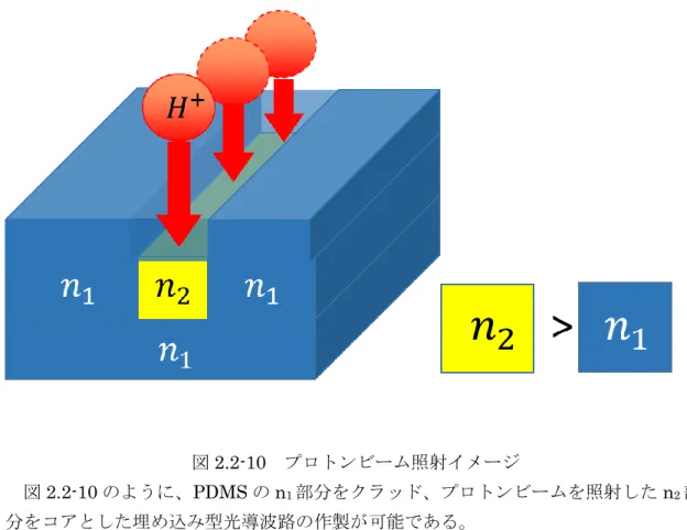 図 2.2-10  プロトンビーム照射イメージ 