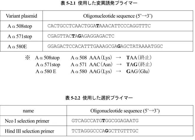 表 5-2.1  使用した変異誘発プライマー