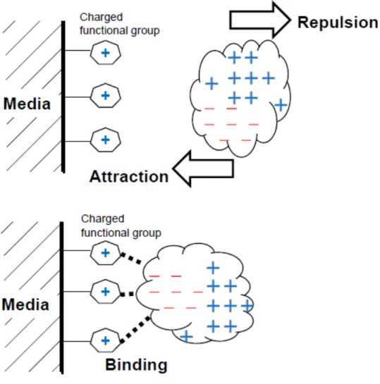 Fig. 6  "steering effect" 