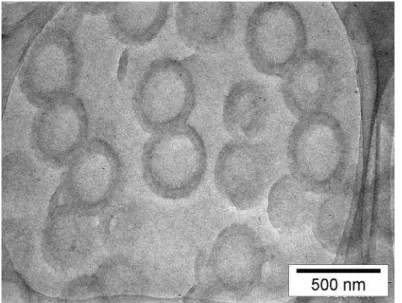Fig. 2-9 3PMAA3CS の形態変化（空気中 330 ℃）