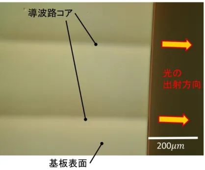 図 2.4-9 より、綺麗にカットが行えたことが分かる。また、端まで導波路コアが達し