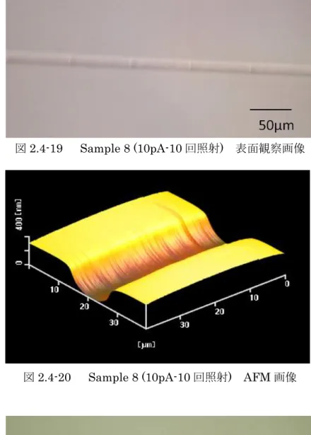 図 2.4-19    Sample 8 (10pA-10 回照射)  表面観察画像 