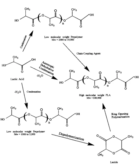 Fig. 1-5 Synthesis methods for high-molecular-weight PLA [32].  