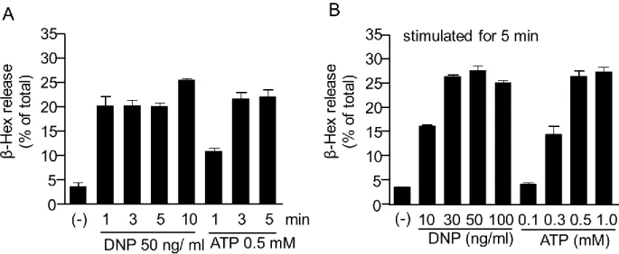 Fig. 4. Time course and dose-response relationship of DNP-HSA- and ATP-induced  degranulation