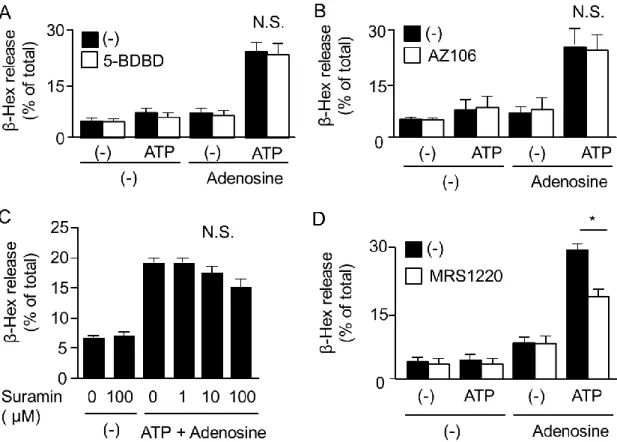 Fig. 8. Effect of purinoceptor antagonists on degranulation induced by co-stimulation with  ATP and adenosine