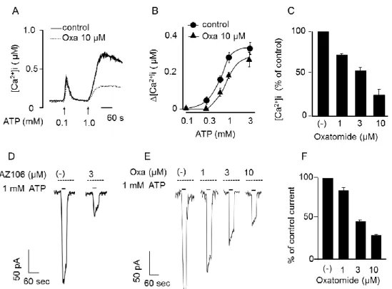 Fig. 11. Effect of oxatomide (Oxa) on P2X7-mediated increase of [Ca 2+ ]i and membrane  current in N18TG2 cells