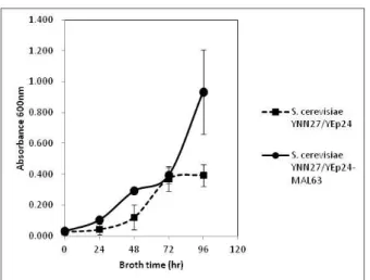 Fig.  3  Growth  curve  introduced  with  MAL63 homologue. 