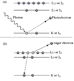 Fig. 3.5 (a)光電子生成過程(b)オージェ電子生成過程 